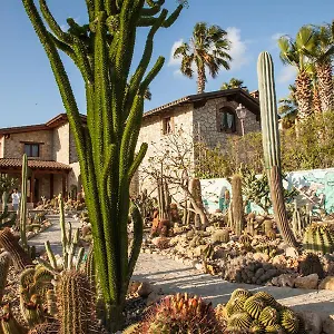 Casa di campagna Garden Cactus, Villaggio Mosè